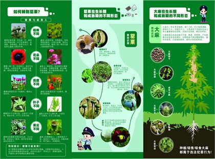 禁毒宣传图片08